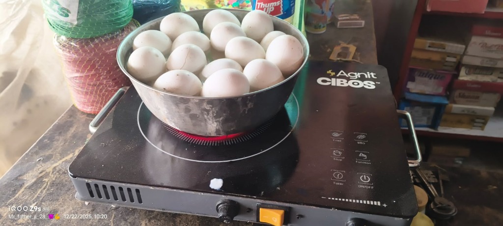 Boiling eggs on Agnit induction cooktop